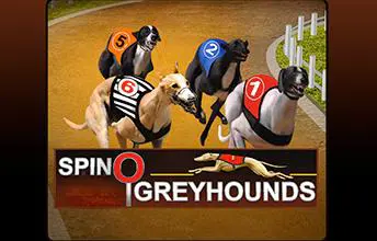 Spinosports:Greyhounds - WinPesa - Nigeria